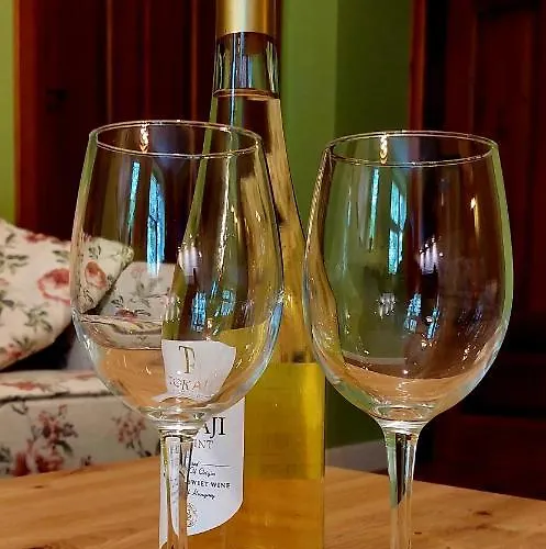 Old Town Plus 公寓